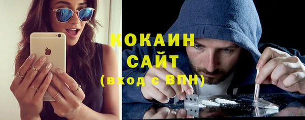 ПСИЛОЦИБИНОВЫЕ ГРИБЫ Алексин