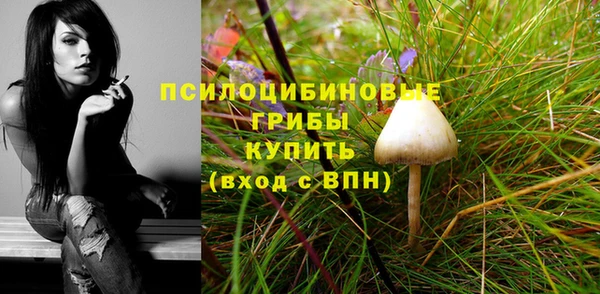 каннабис Алзамай