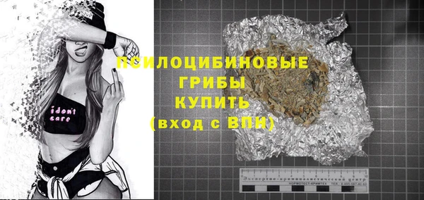 ПСИЛОЦИБИНОВЫЕ ГРИБЫ Алексин